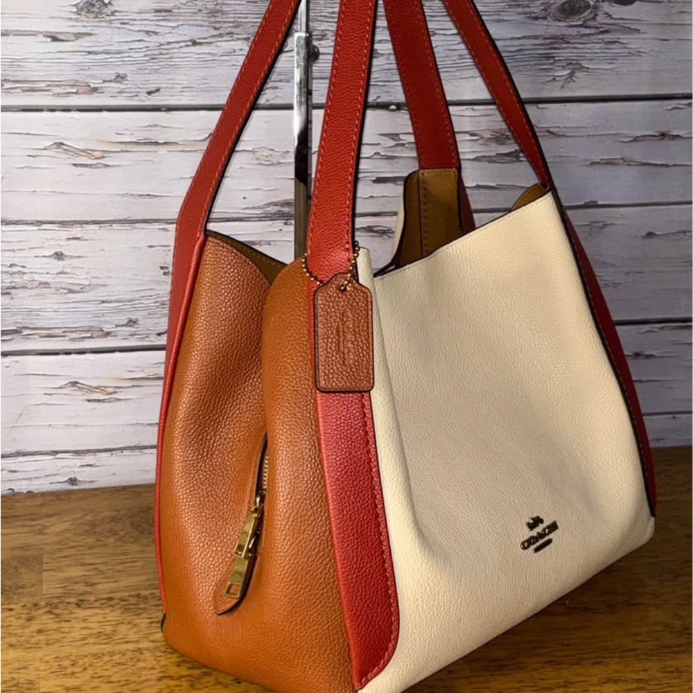 Coach Hadley hobo in colorblock leather.
